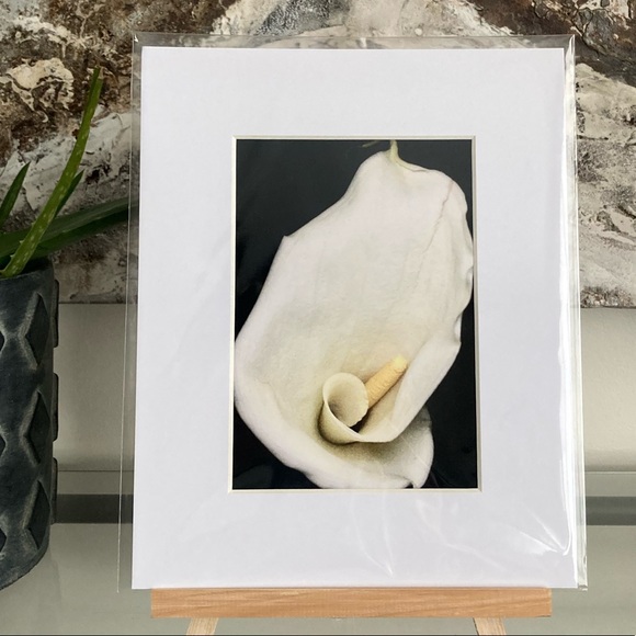 “CALISTA” ~ ORIGINAL ART by ~ @lisamichellebeckerphotography - Picture 9 of 13